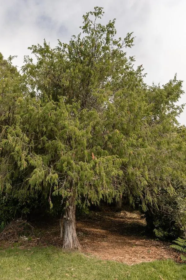 Mialon Rural Apartment: Haven Of Calm In Nature La Esperanza  Apartment
