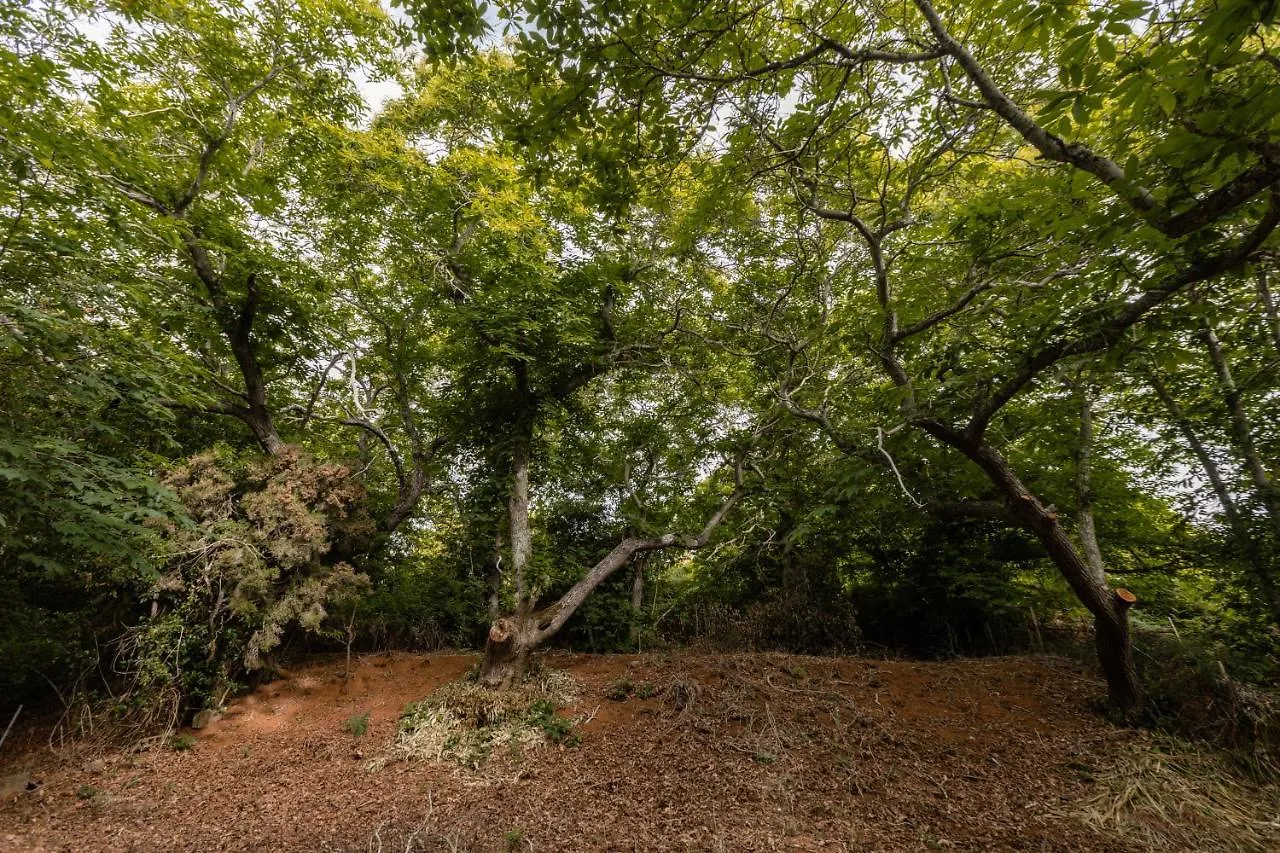 Mialon Rural Apartment: Haven Of Calm In Nature La Esperanza  Spain